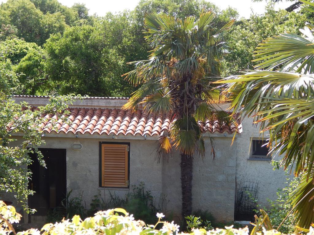 Apartment Tomato Πούλα Δωμάτιο φωτογραφία